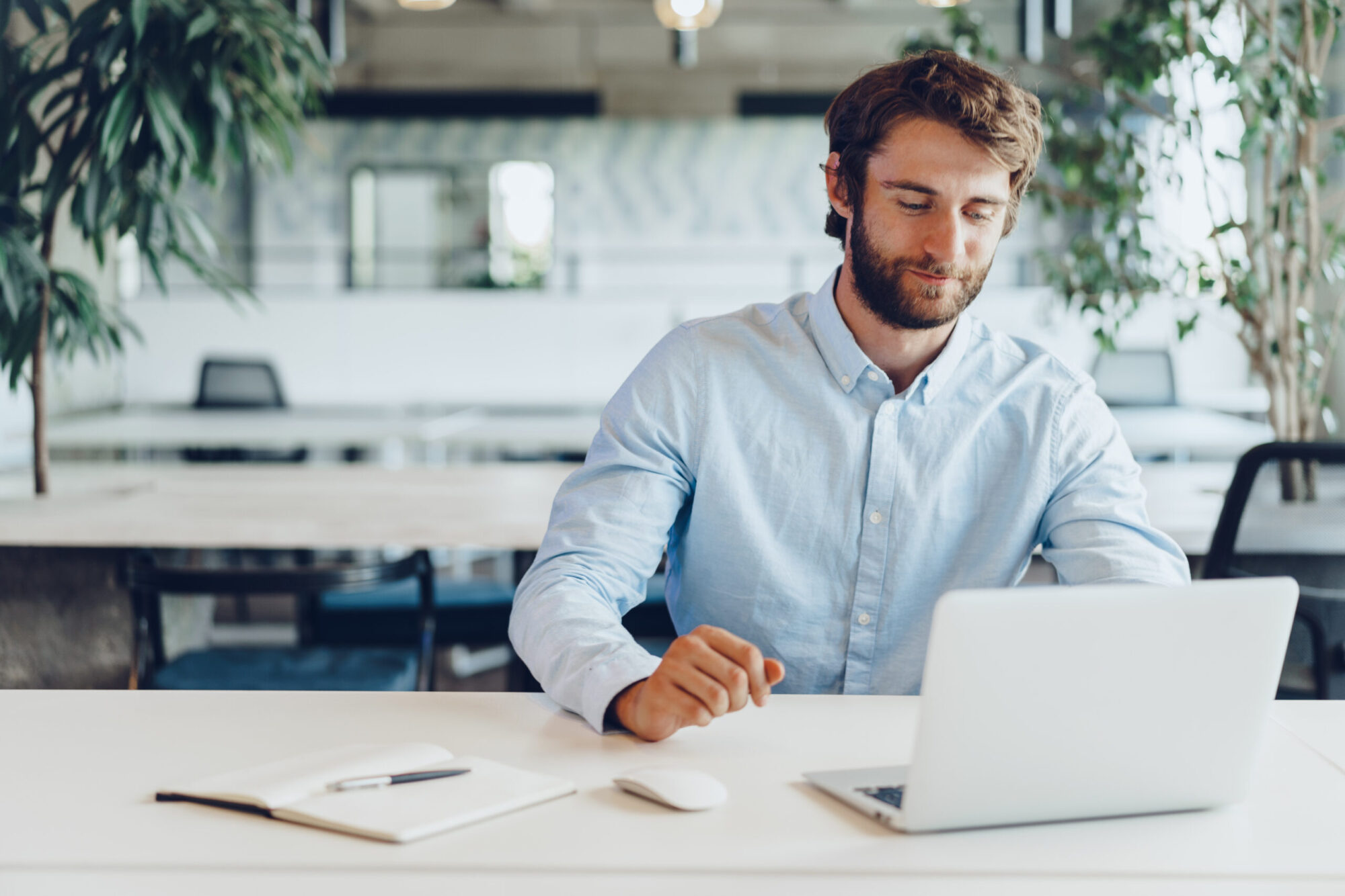 Businessman in shirt working on his laptop in an office